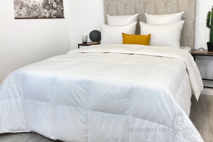 Couette Valencia Label Nuit